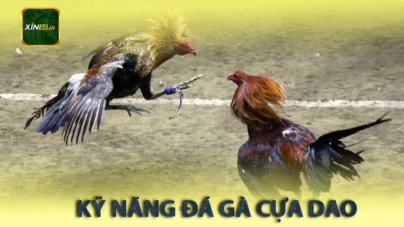 Kỹ Năng Đá Gà Cựa Dao