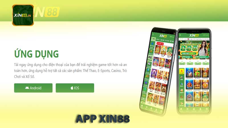 app xin88